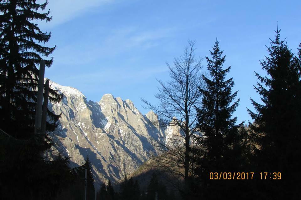 Valbona Eco Camping Hotel Eksteriør billede