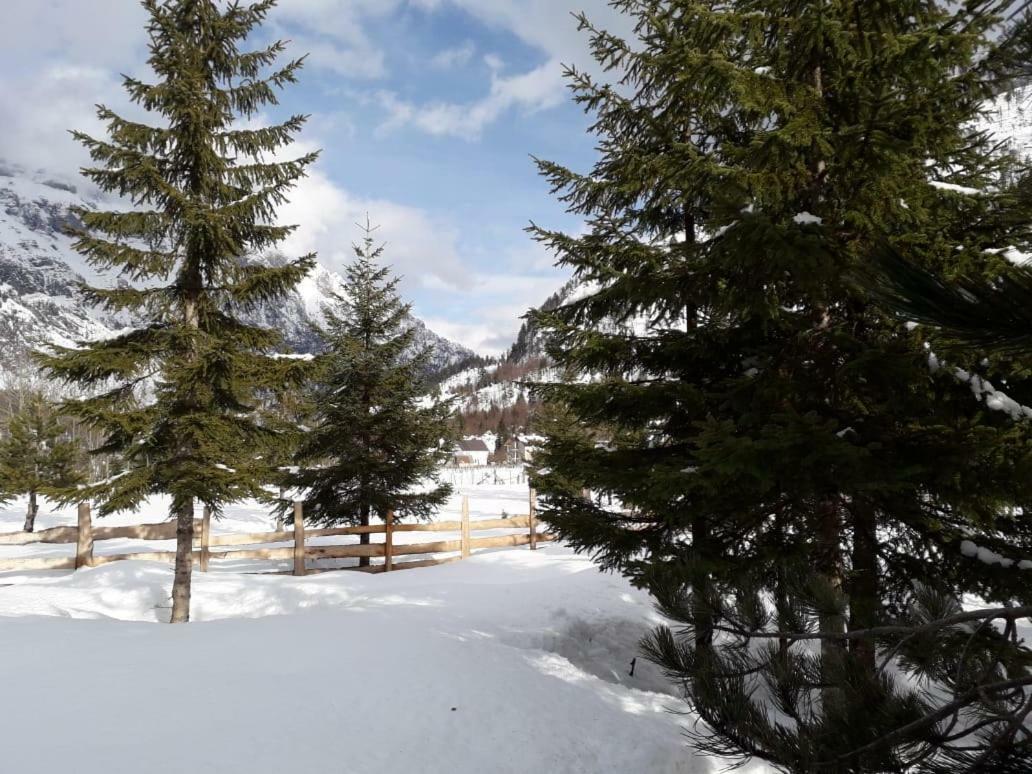 Valbona Eco Camping Hotel Eksteriør billede
